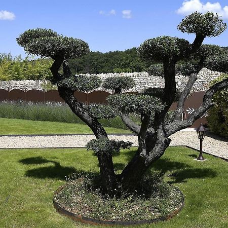 Roussillon en Isere Bastide Des Demoiselles Bed & Breakfast エクステリア 写真